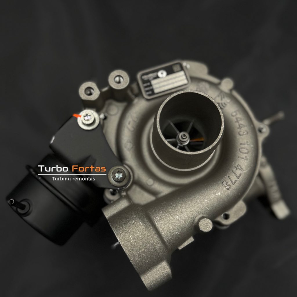 Turbina Renault 1.6L 54389880005